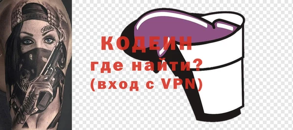 индика Гусь-Хрустальный