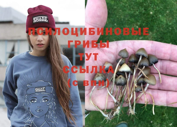 ешки Горняк