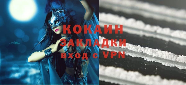 ешки Горняк