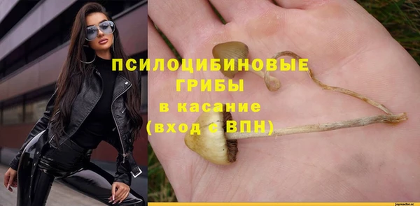 ешки Горняк