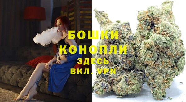 ешки Горняк