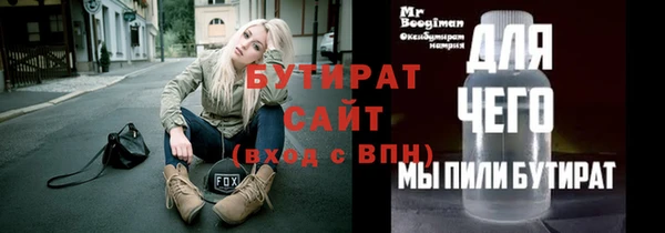индика Гусь-Хрустальный