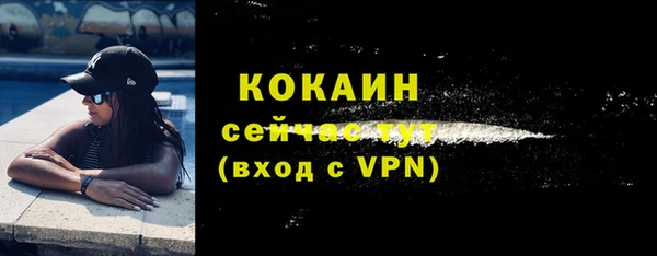 ешки Горняк