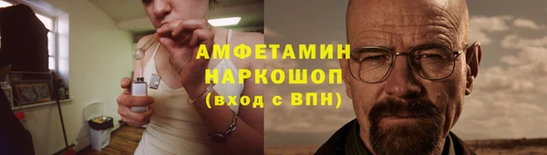 ешки Горняк