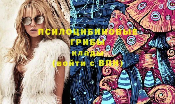 индика Гусь-Хрустальный