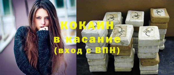 ешки Горняк
