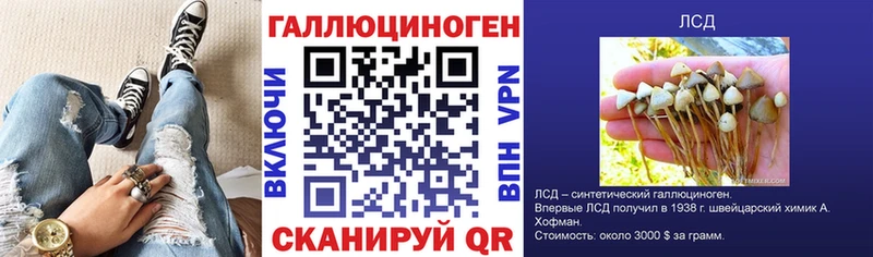Псилоцибиновые грибы MAGIC MUSHROOMS  где продают наркотики  mega вход  Кызыл 
